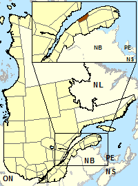 Location map for Matane