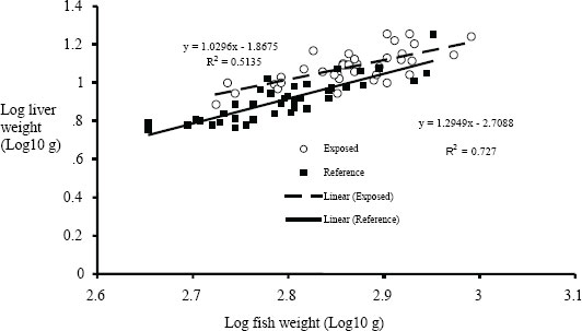 Figure A2-4: Linear regression of fish liver weight at body weight as an example of effect summary for liver weight or gonad size – male Catostomus sp.