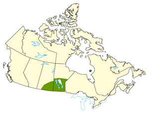 A map of Canada indicating where floods occurred in southern Saskatchewan and Manitoba.