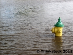 Fire hydrant in water.
