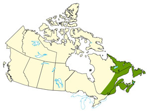 Carte du Canada démontrant les régions du Québec, de Terre-Neuve-et-Labrador, du Nouveau-Brunswick, de la Nouvelle-Écosse et de l'Île-du-Prince-Édouard touchées par les ouragans au cours de la saison d'ouragans de 2011.