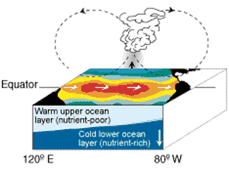 Atmosphere and ocean circulation during El Niño winter – Refer to text below for description.