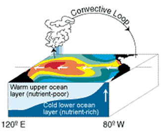 Atmosphere and ocean circulation during normal winter – Refer to text below for description.