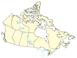 A map of Canada indicating the location of the tornado in Goderich.