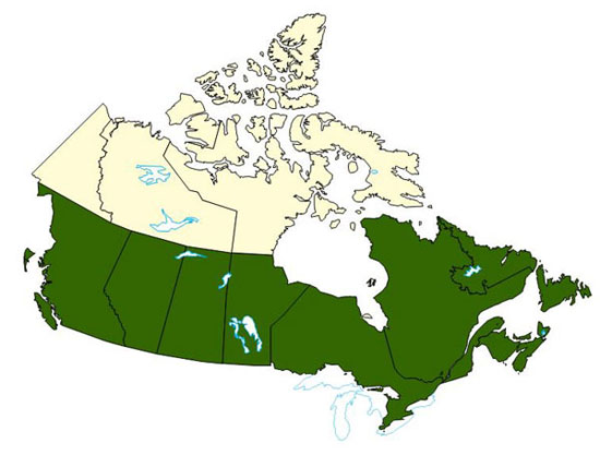 Carte du Canada mettant en surbrillance les régions ayant connu des conditions hivernales précoces en 2008