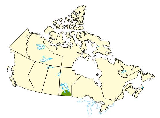 Map of Canada highlighting Manitoba’s Red River which recorded its second highest spring flooding in nearly 100 years