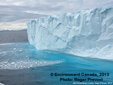 Icebergs in the Arctic. © Environnement Canada Photo: Roger Prevost