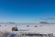 Hay bales covered with snow in a snow covered field. 