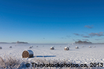 Hay bales covered with snow in a snow covered field.