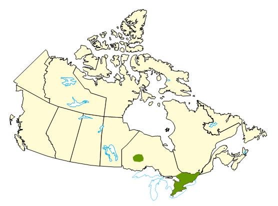 Map of Canada highlighting regions of Ontario that experience deadly and destructive tornadoes