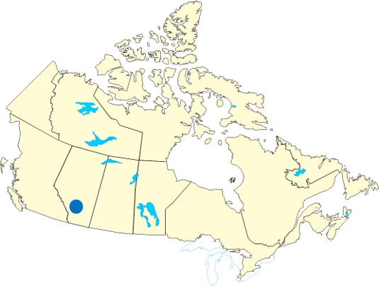Carte du Canada où la ville Calgary, Alberta est mise en évidence.