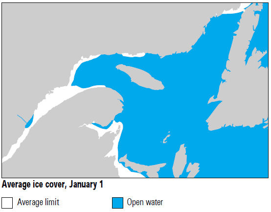 Average ice cover on January 1.  Ice extends from the coast of Nova Scotia and up the St. Lawrence Estuary.