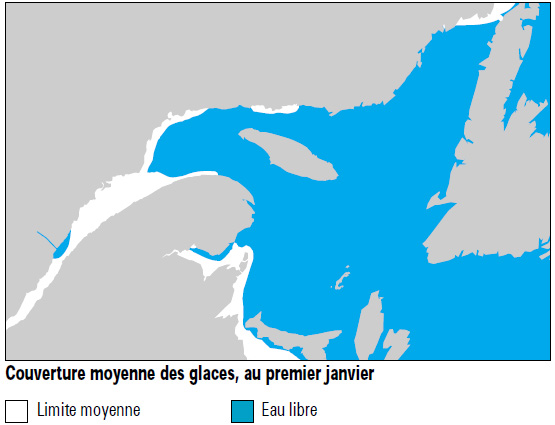 La couverture moyenne des glaces au premier janvier. La glace s'étend le long de la côte de la Nouvelle-Écosse et jusqu'à l'estuaire du Saint-Laurent.