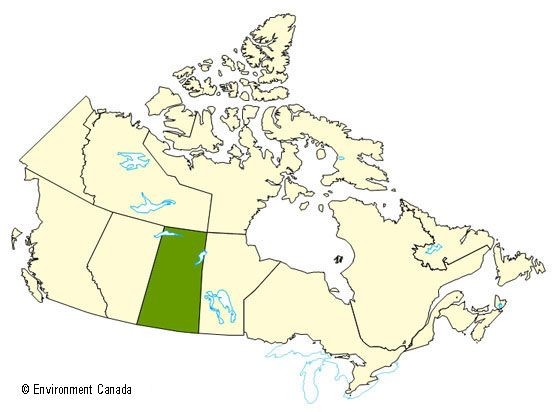 A map of Canada indicating that the province of Saskatchewan received a significant number of summer storms.