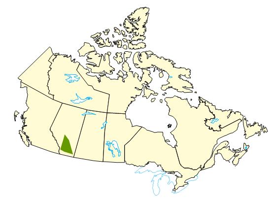 Map of Canada highlighting regions in Alberta that experienced a severe wind and hail storm during the summer of 2009