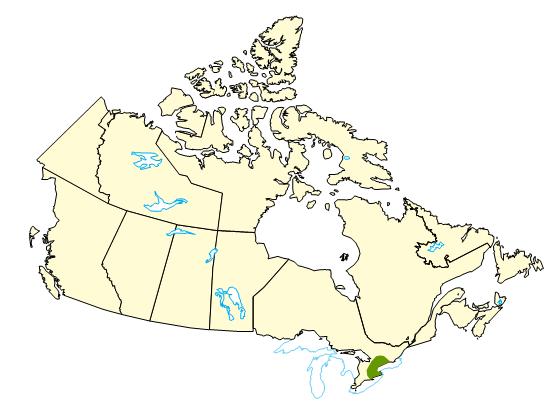 Map of Canada highlighting the region of Hamilton where a storm cell dumped copious amounts of rain