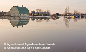 © Agriculture and Agri-Food Canada.  Flooded farmland near Weyburn, Saskatchewan in April.