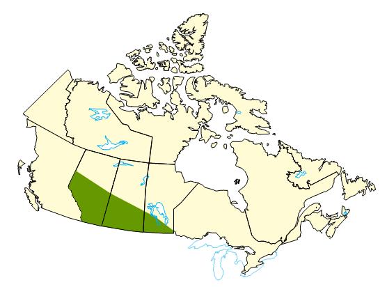 Map of Canada highlighting regions in the Prairies that experience a cold and dry growing season