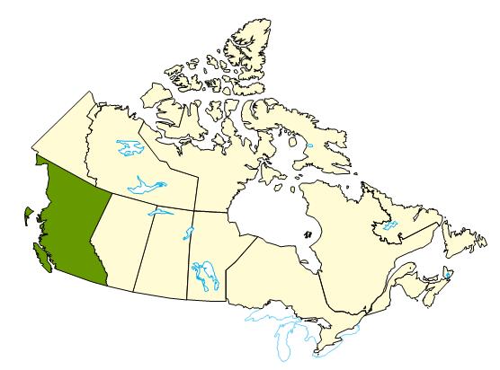 Map of Canada highlighting B.C. significant forest fire season