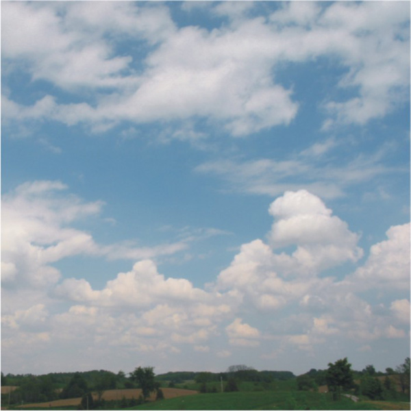 A large number of cumulus clouds above a farm