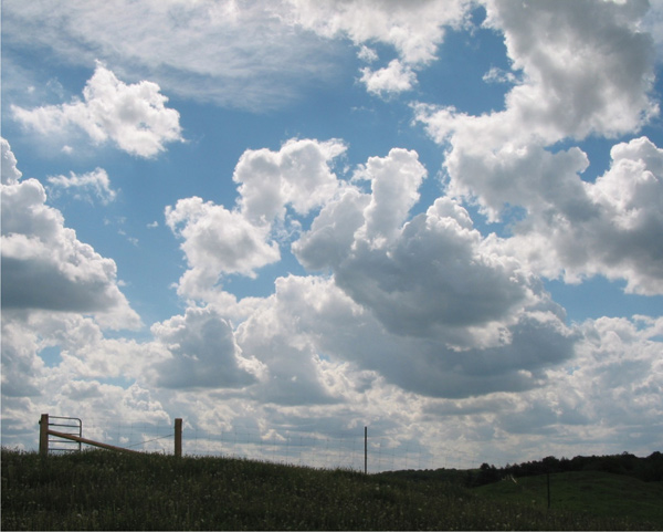 A large number of cumulus clouds above a farm