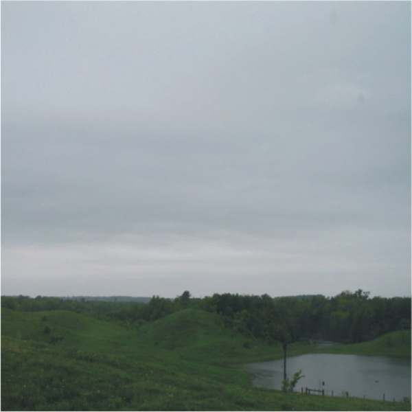 Nimbostratus clouds over a green field