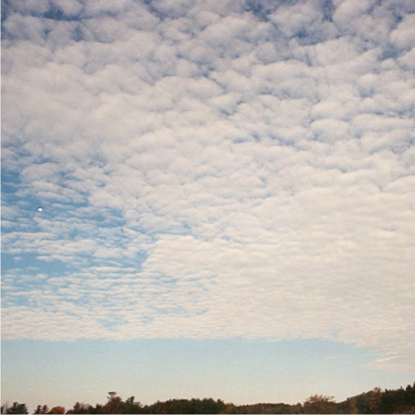 Patches of altocumulus clouds