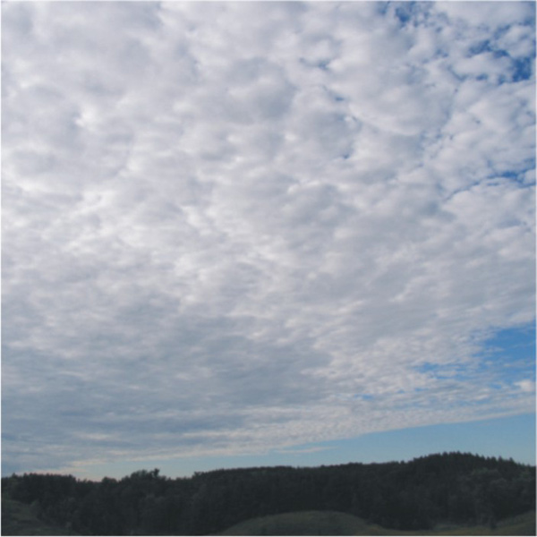 Patches of altocumulus clouds