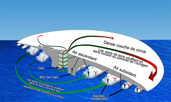 Cette illustration montre les caractéristiques d’un cyclone tropical et explique comment l'air se déplace et monte (pour plus de détails, lire le texte sur l'oeil, le mur de l'oeil et les bandes pluvieuses). © Environnement Canada, 2009