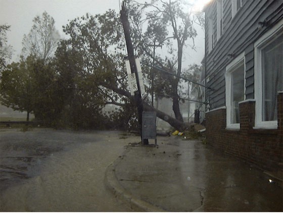 A fallen tree and heavy rain following Hurricane Juan made Prince Albert Road in Dartmouth very dangerous. Photo: Jaclyn Poole