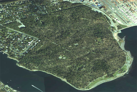 High definition photo of tree damage at Point Pleasant Park in Halifax. Photo: HDI Inc. for Environment Canada